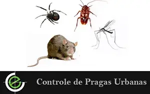 Controle de Pragas Urbanas